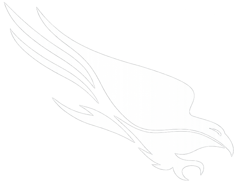 CrowdStrike logo